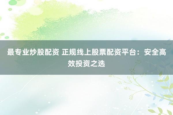 最专业炒股配资 正规线上股票配资平台：安全高效投资之选
