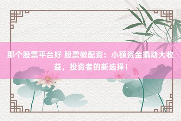 那个股票平台好 股票微配资：小额资金撬动大收益，投资者的新选择！