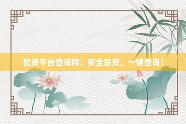 配资平台查询网：安全投资，一键查询！