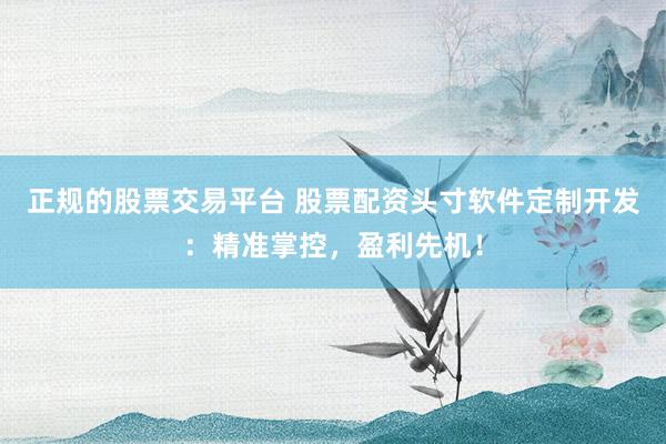 正规的股票交易平台 股票配资头寸软件定制开发：精准掌控，盈利先机！