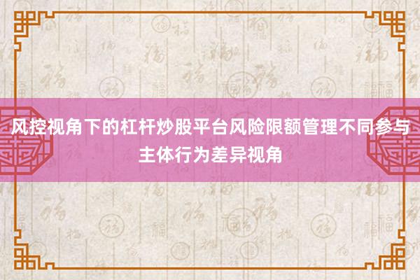 风控视角下的杠杆炒股平台风险限额管理不同参与主体行为差异视角