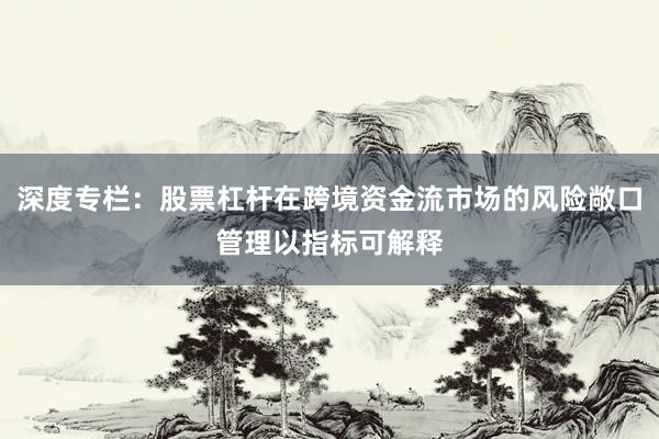深度专栏：股票杠杆在跨境资金流市场的风险敞口管理以指标可解释