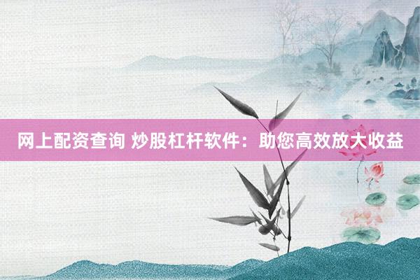 网上配资查询 炒股杠杆软件：助您高效放大收益